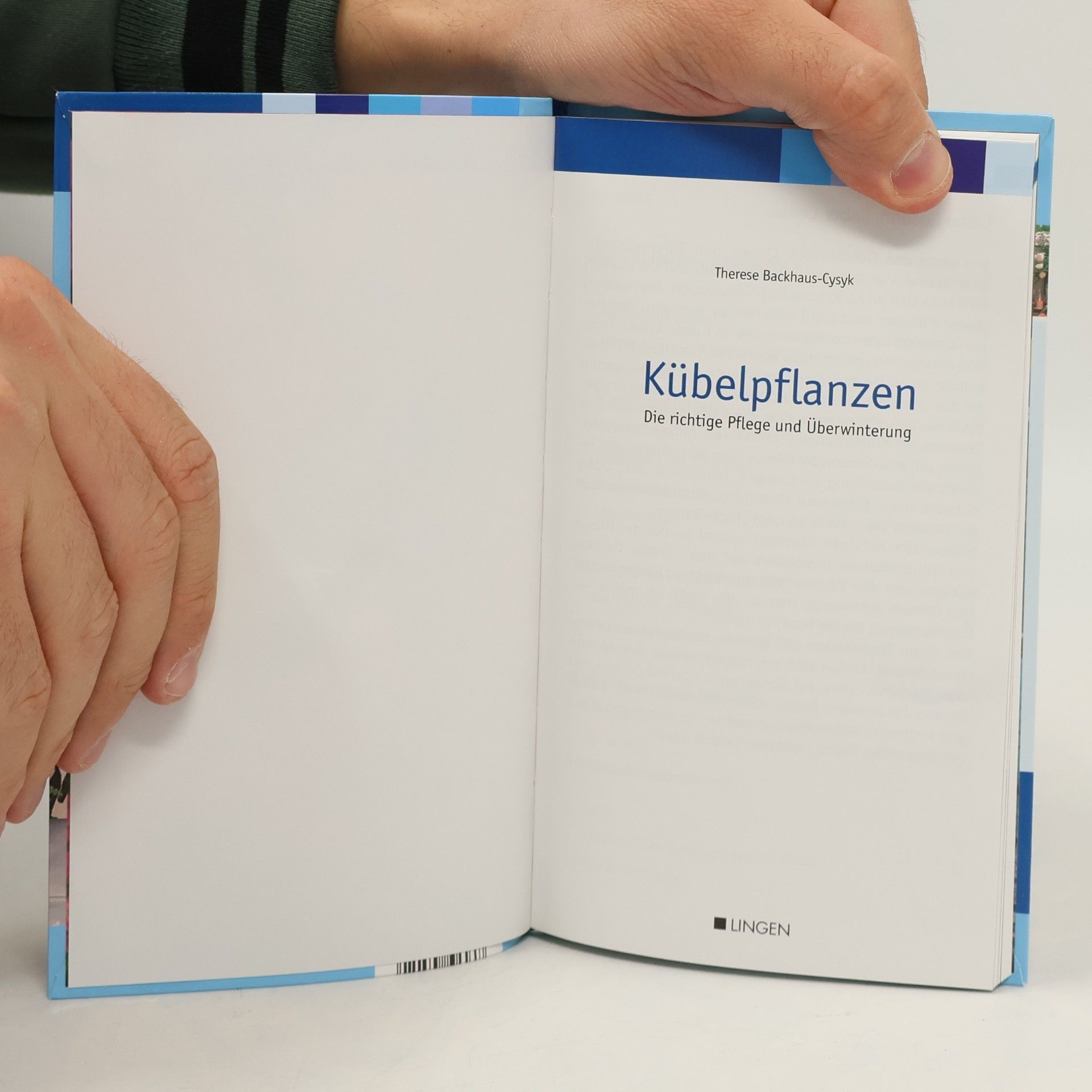 Autorenkollektiv Kübelpflanzen