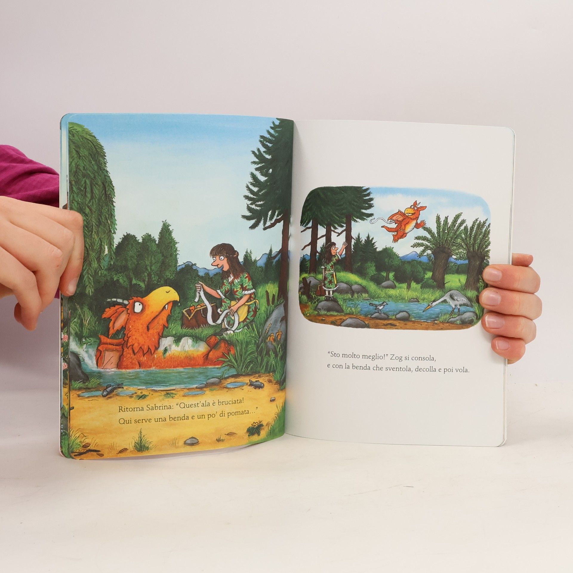 Axel Scheffler Zog