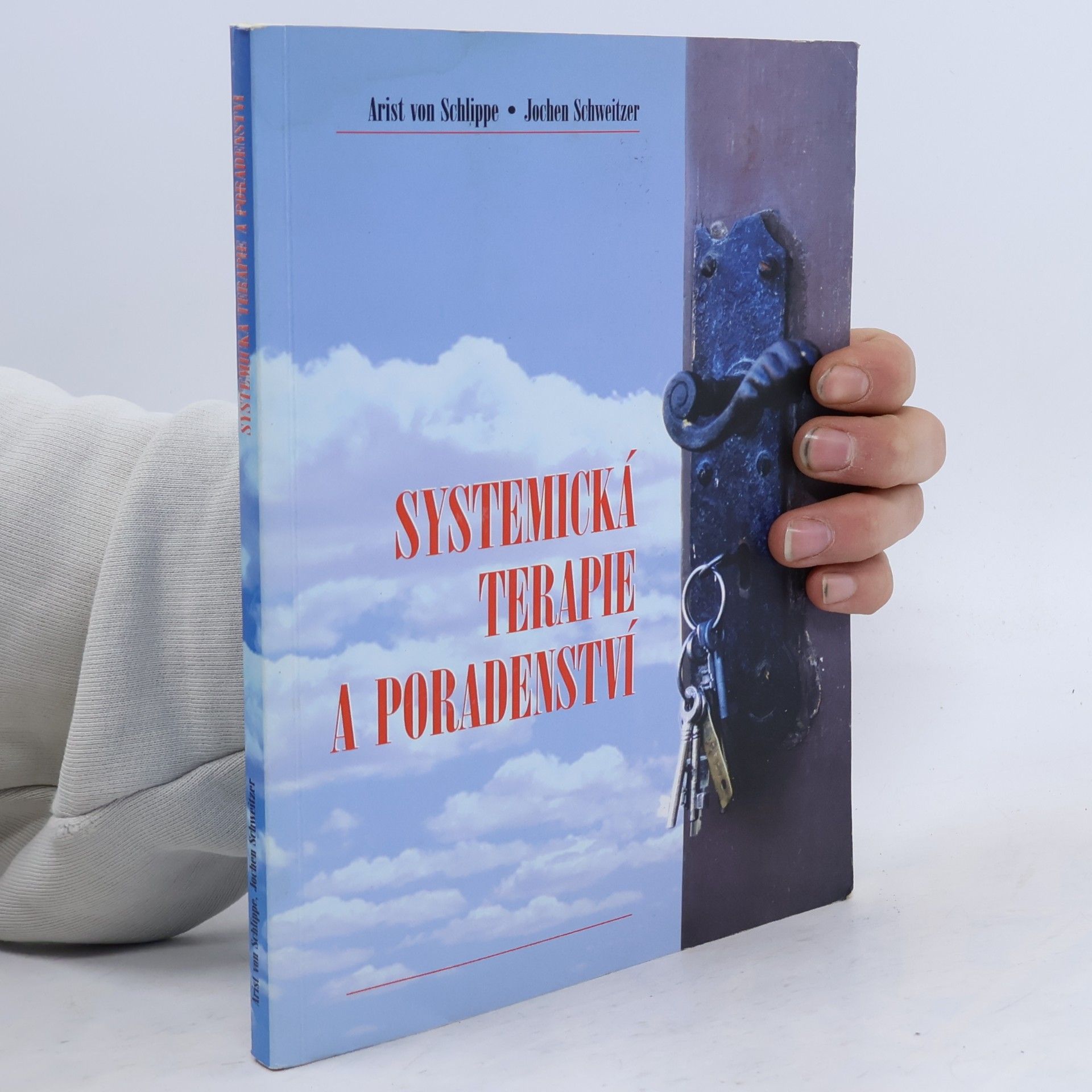 Systemická terapie a poradenství