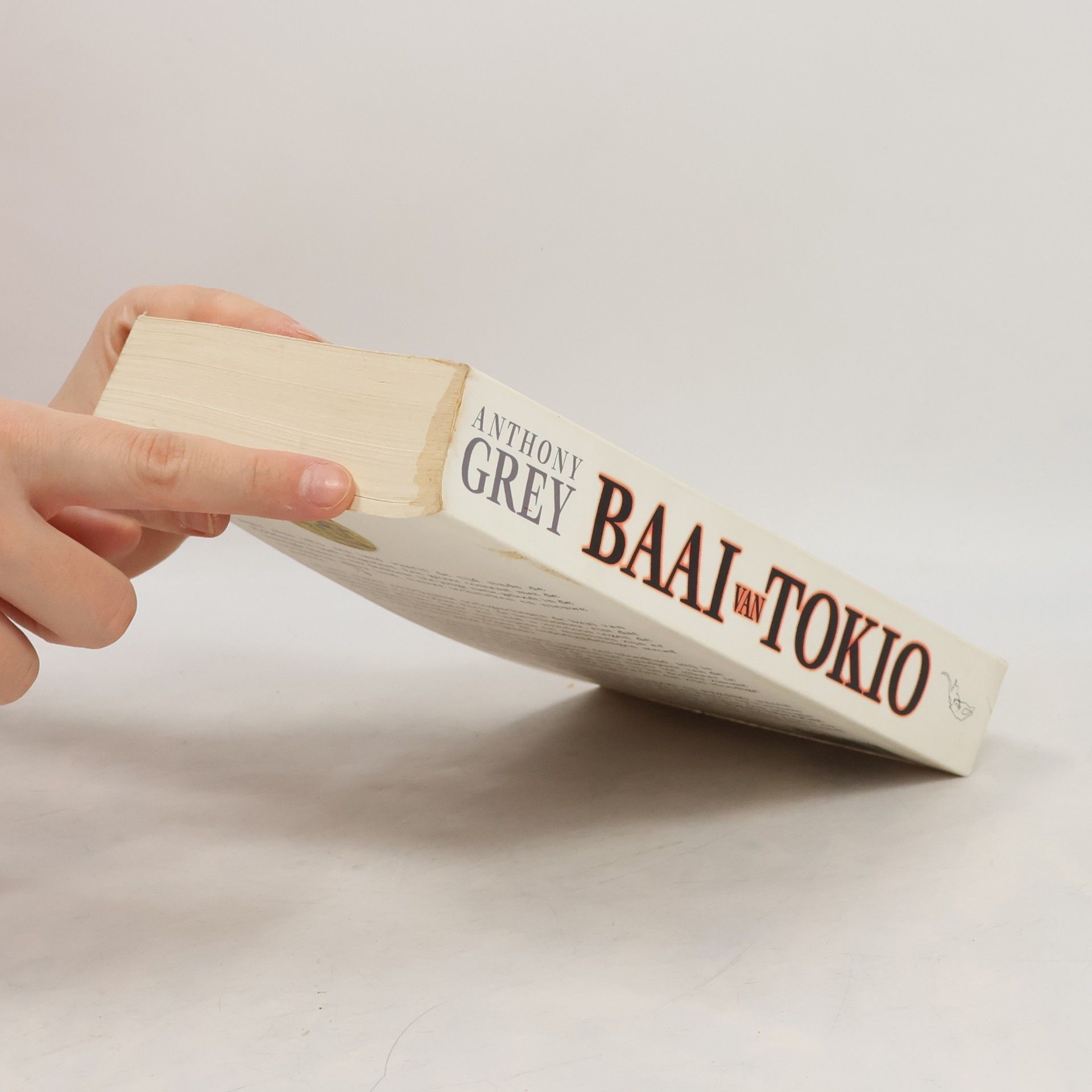 Anthony Grey De baai van Tokio