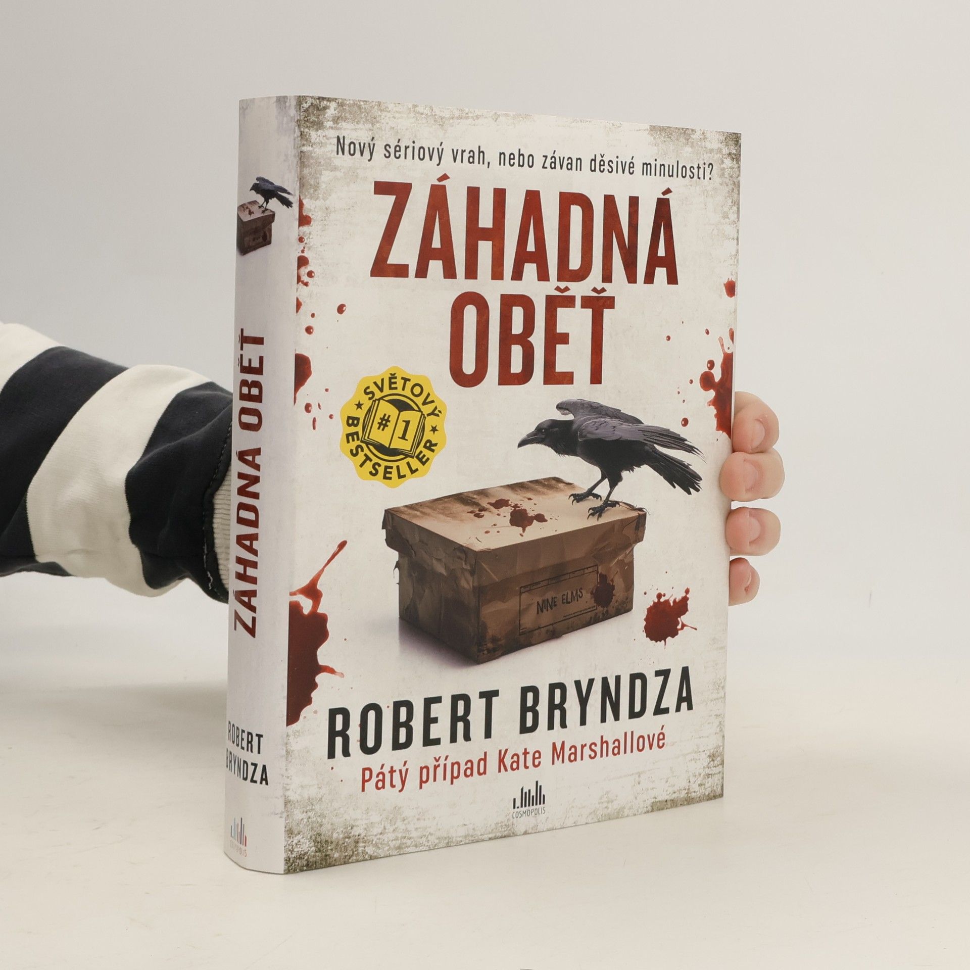 Robert Bryndza Záhadná oběť