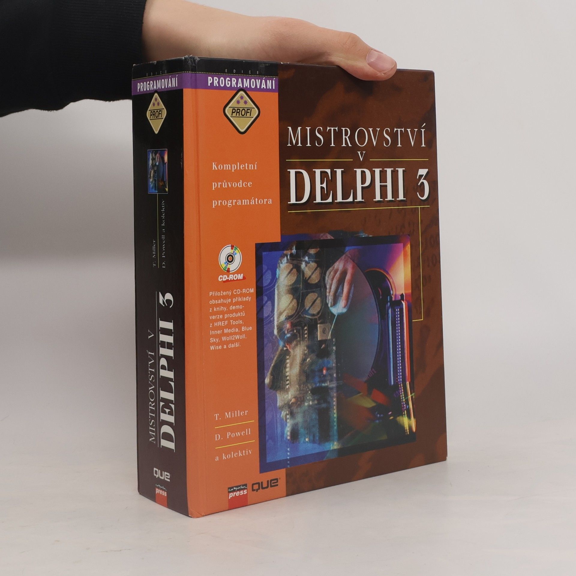 Mistrovství v DELPHI 3
