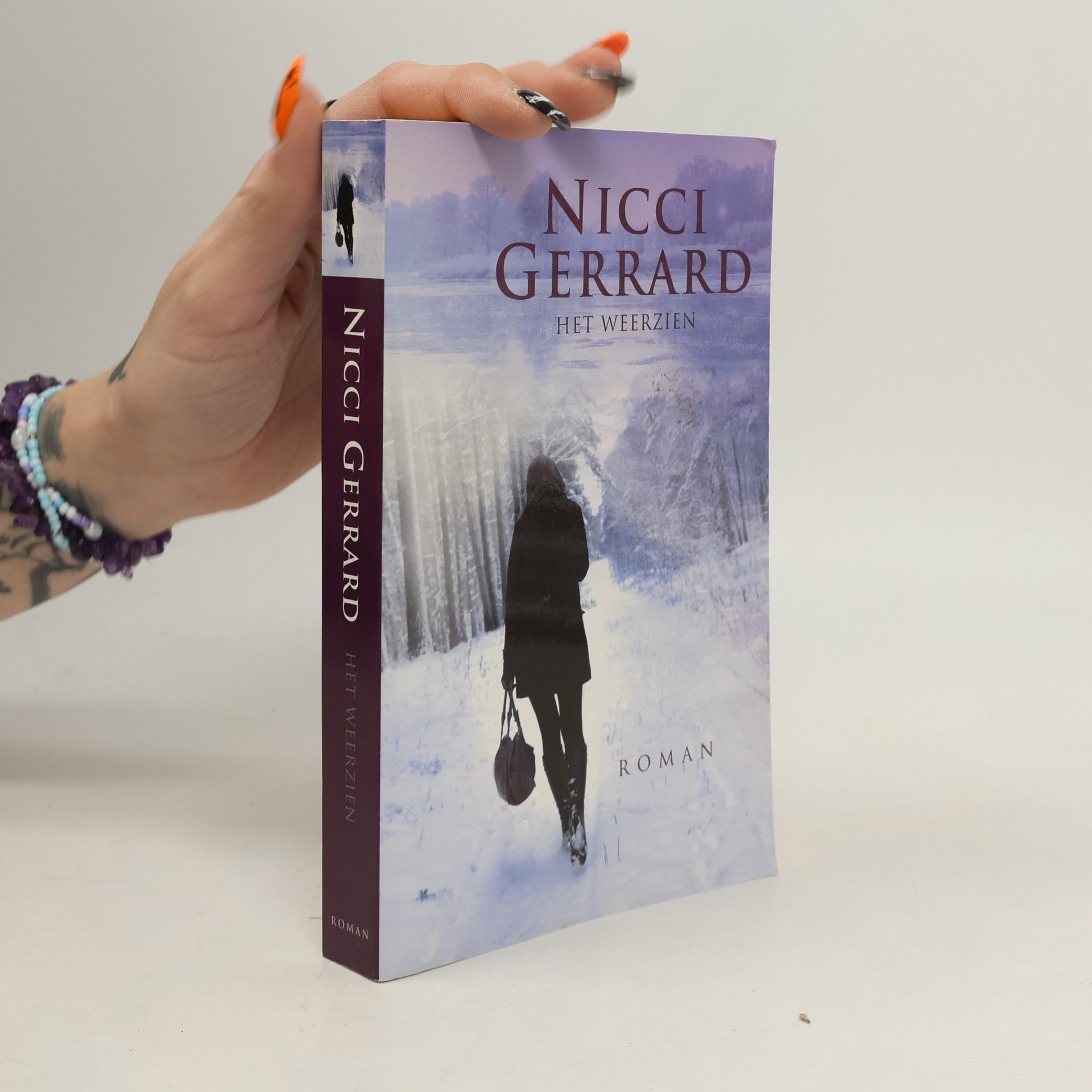 Nicci Gerrard Het Weerzien