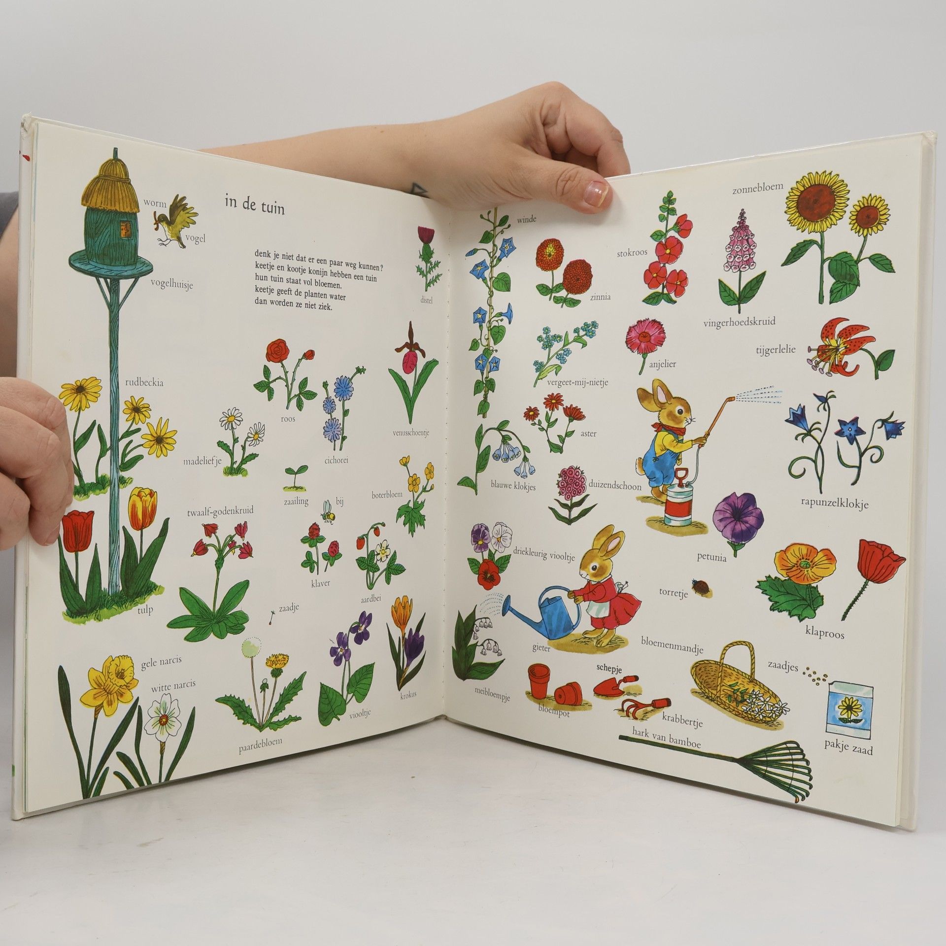 Richard Scarry Mijn leuk kijkboek