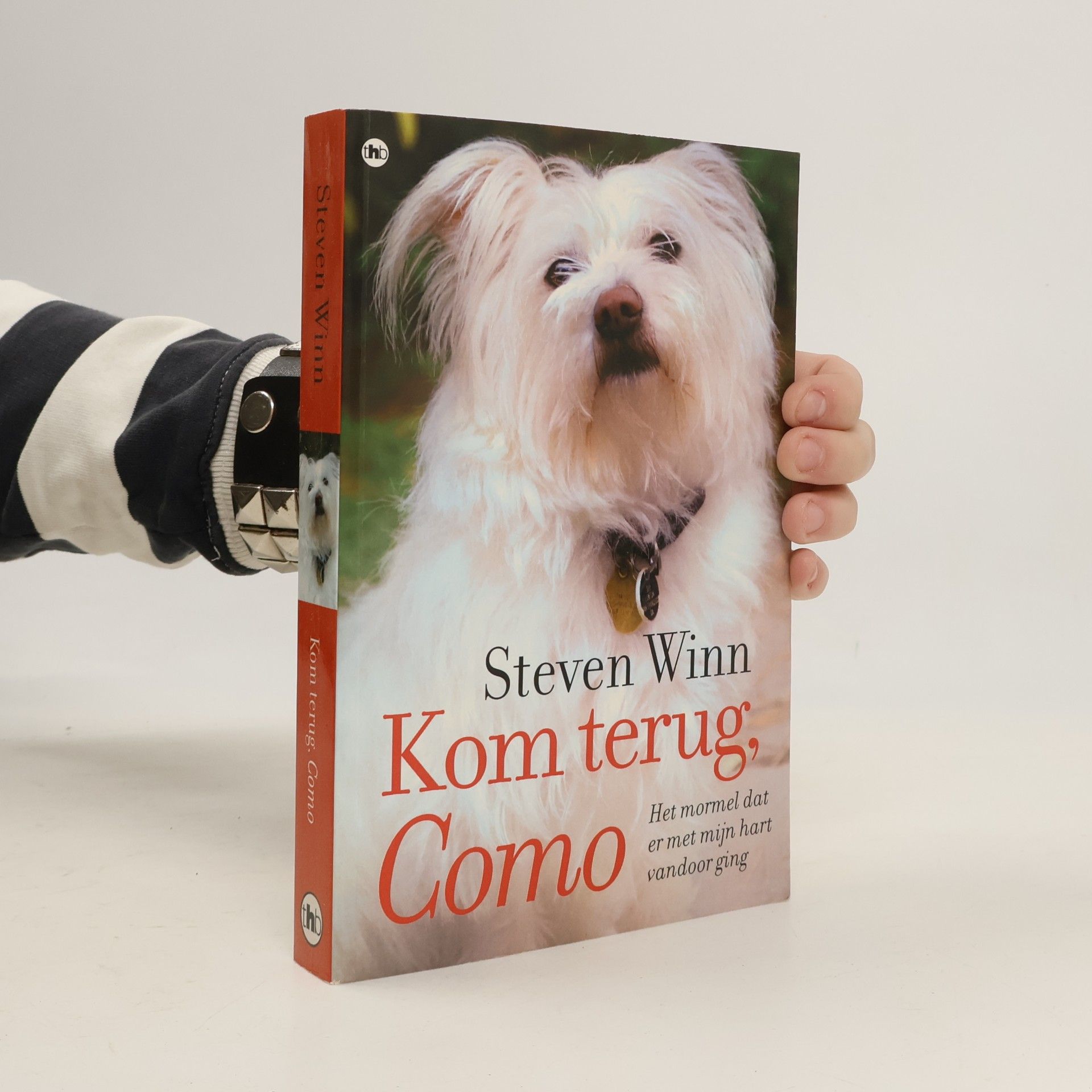 Steven Winn Kom terug, Como