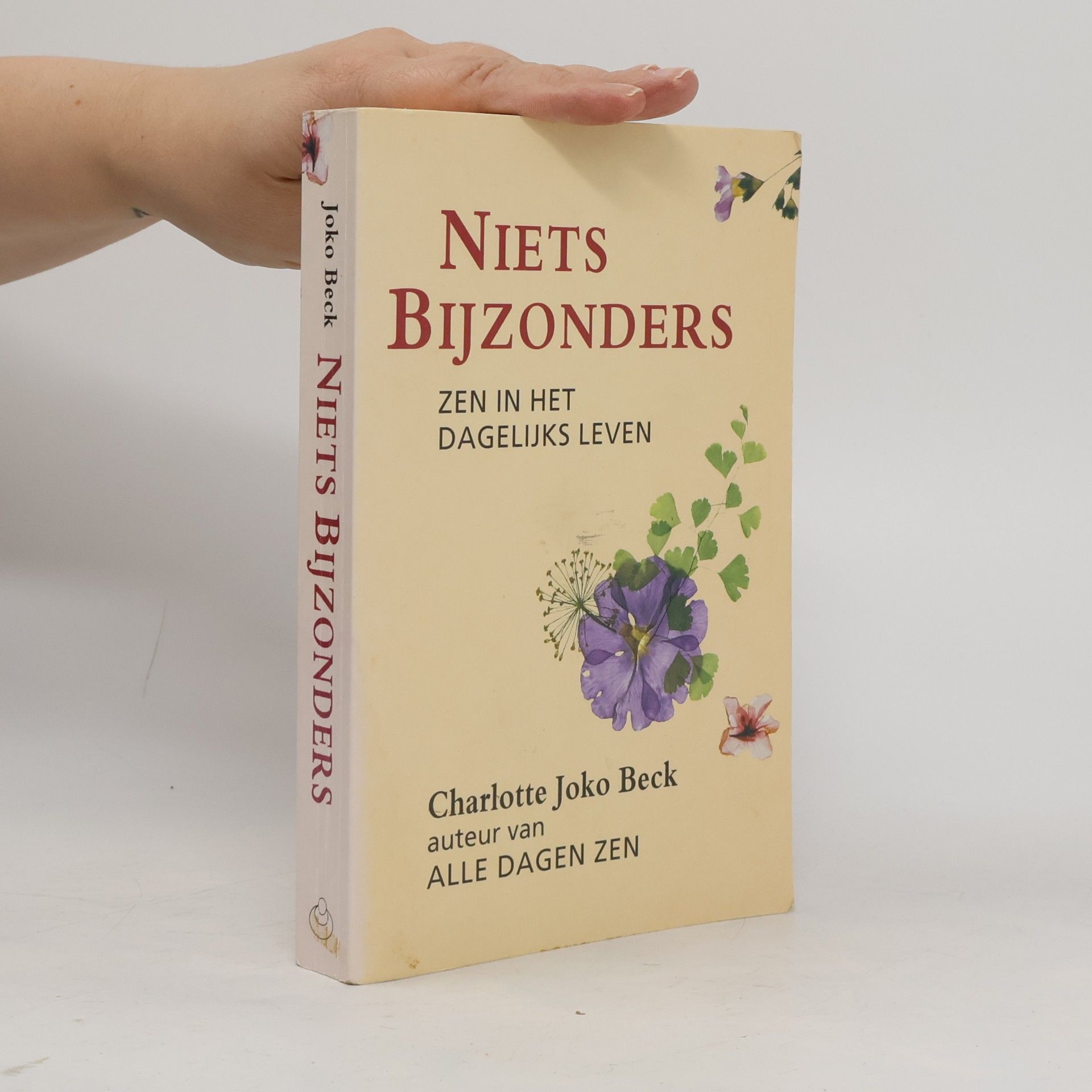 Niets bijzonders / druk 1