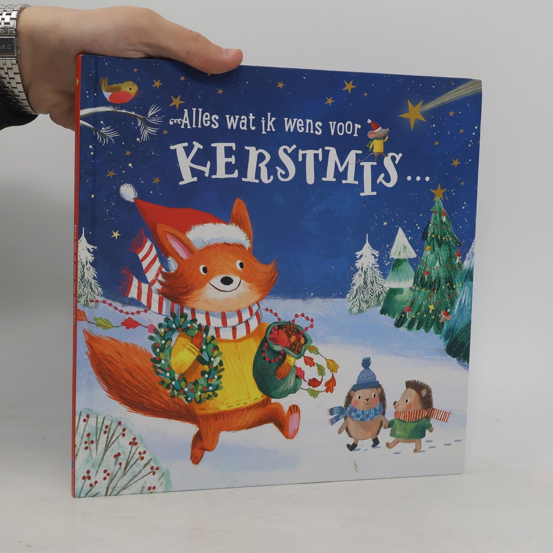 Alles wat ik wens voor Kerstmis... zijn mijn vrienden!