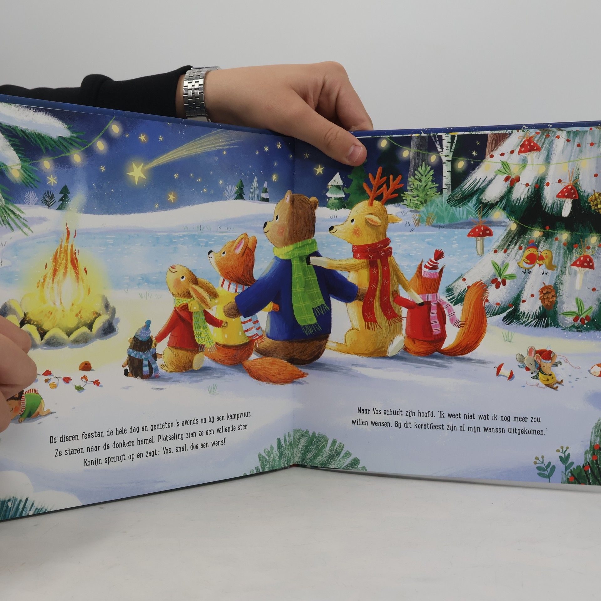 Alles wat ik wens voor Kerstmis... zijn mijn vrienden!