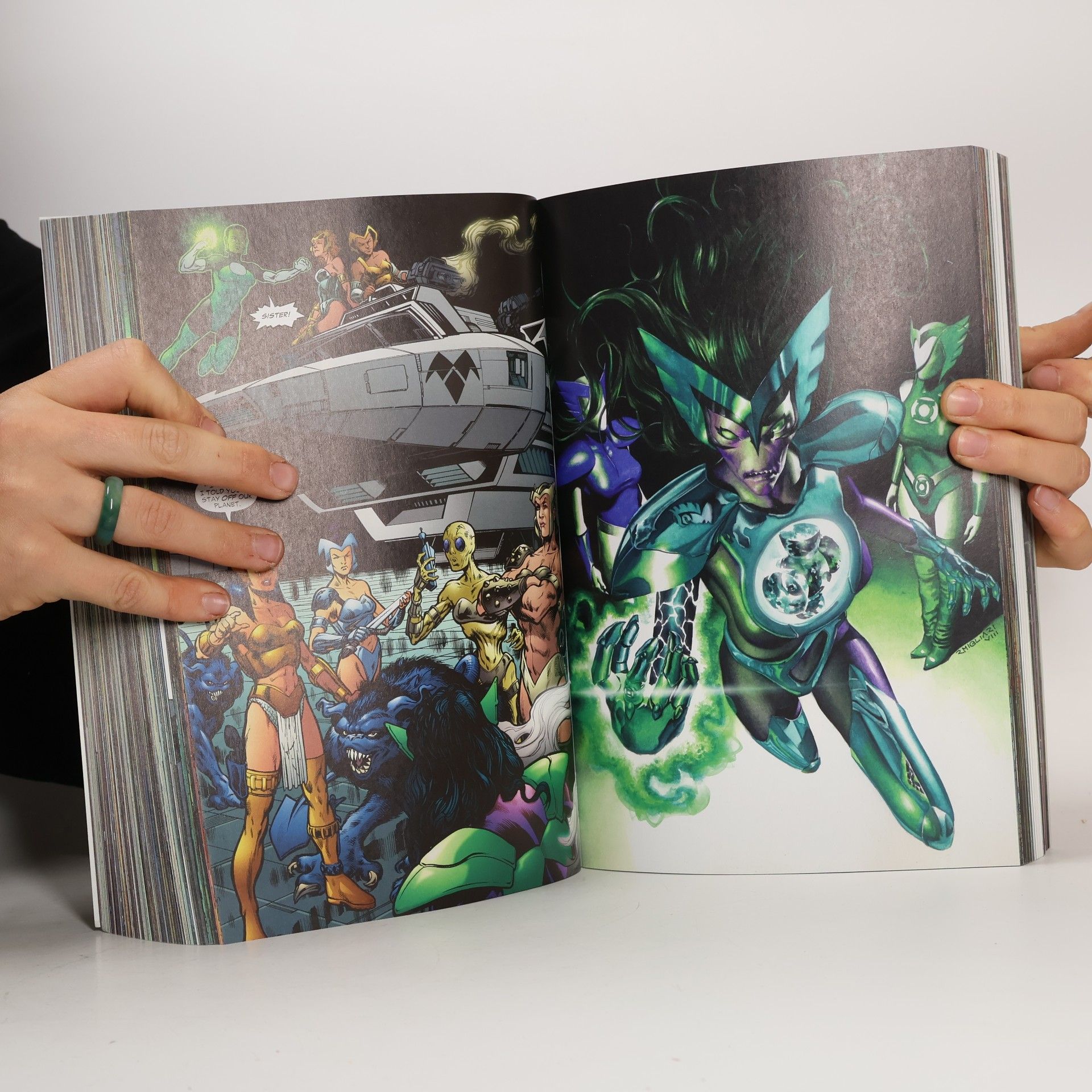 Geoff Johns Green Lantern: The Sinestro Corps War Compendium
