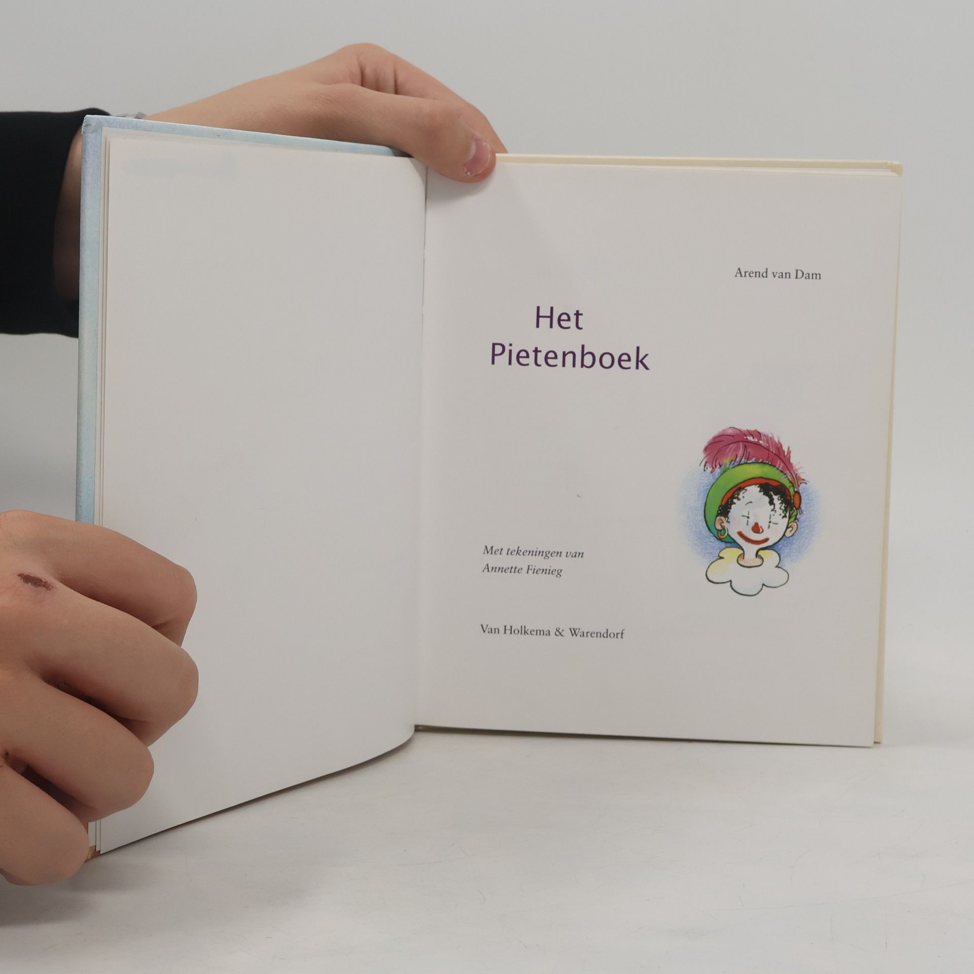 Annette Fienieg Het Pietenboek