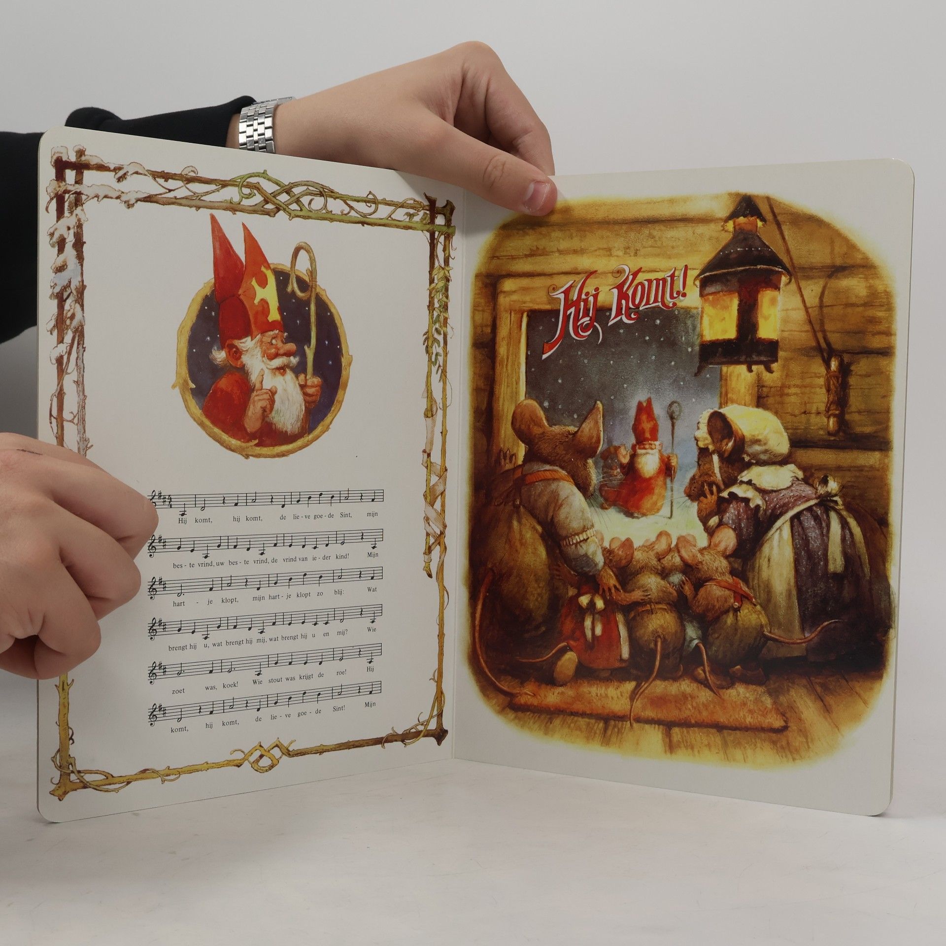 Kabouter Sinterklaasboek