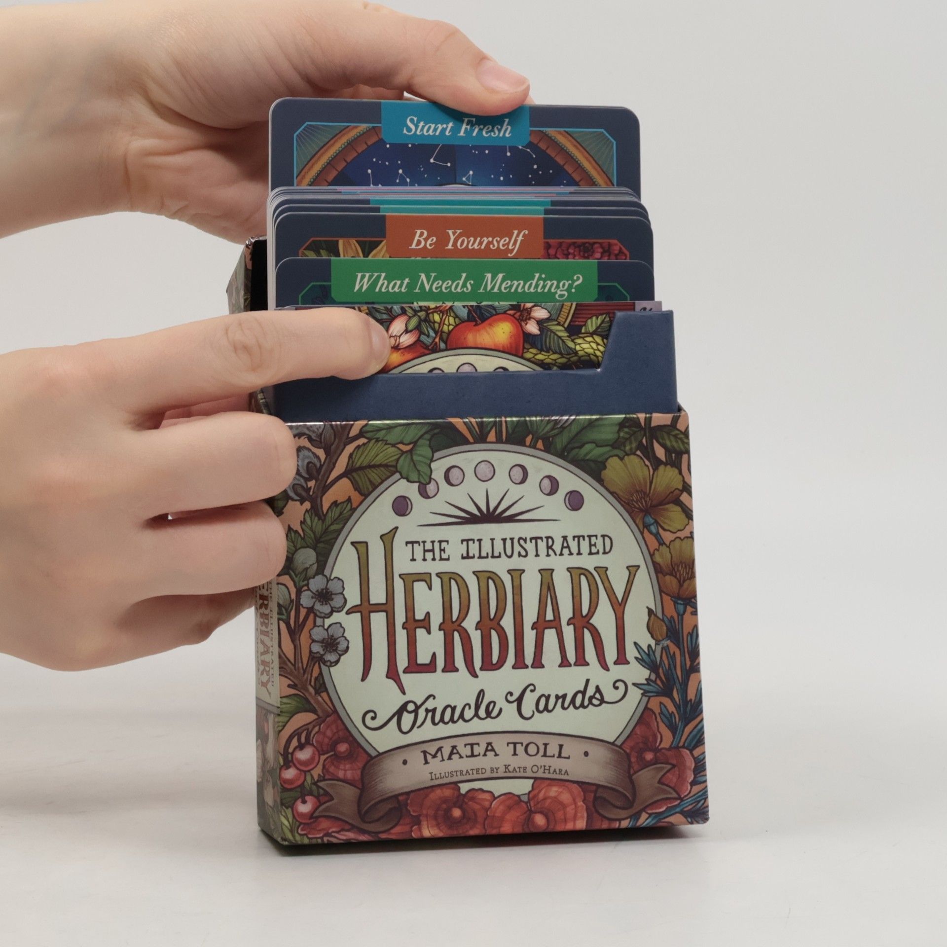 Kate O'Hara Illustrated Herbiary Oracle Cards