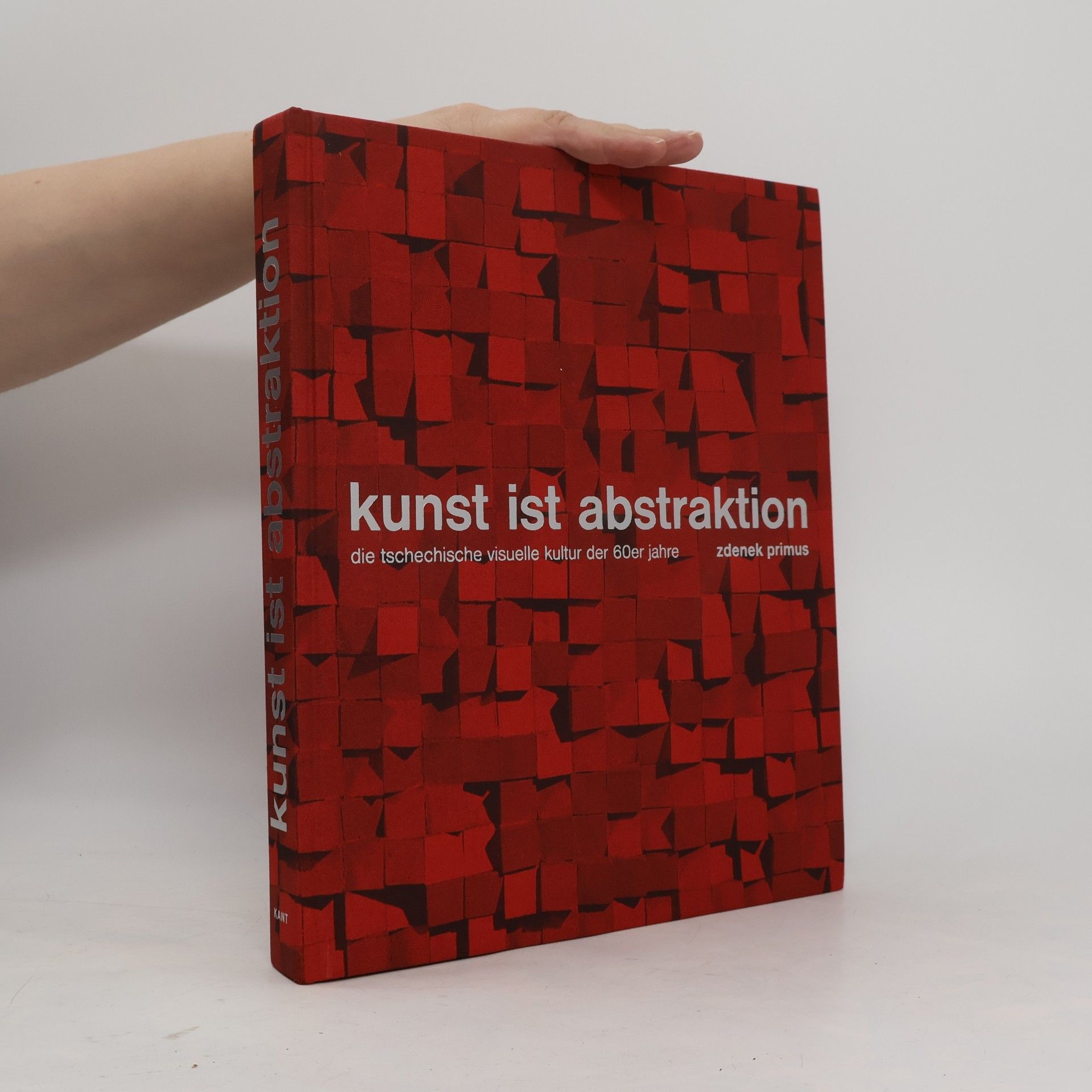 Zdenek Primus Kunst ist Abstraktion