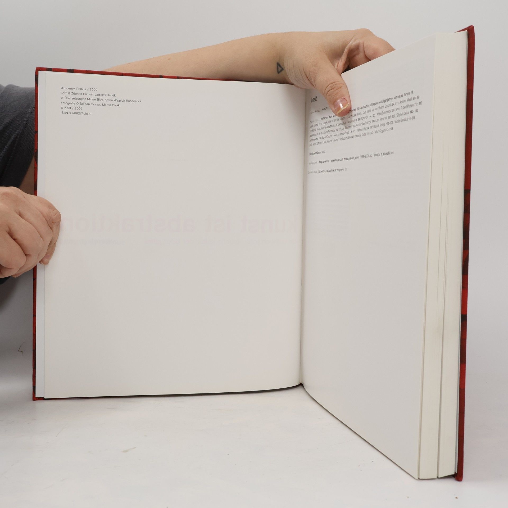 Zdenek Primus Kunst ist Abstraktion