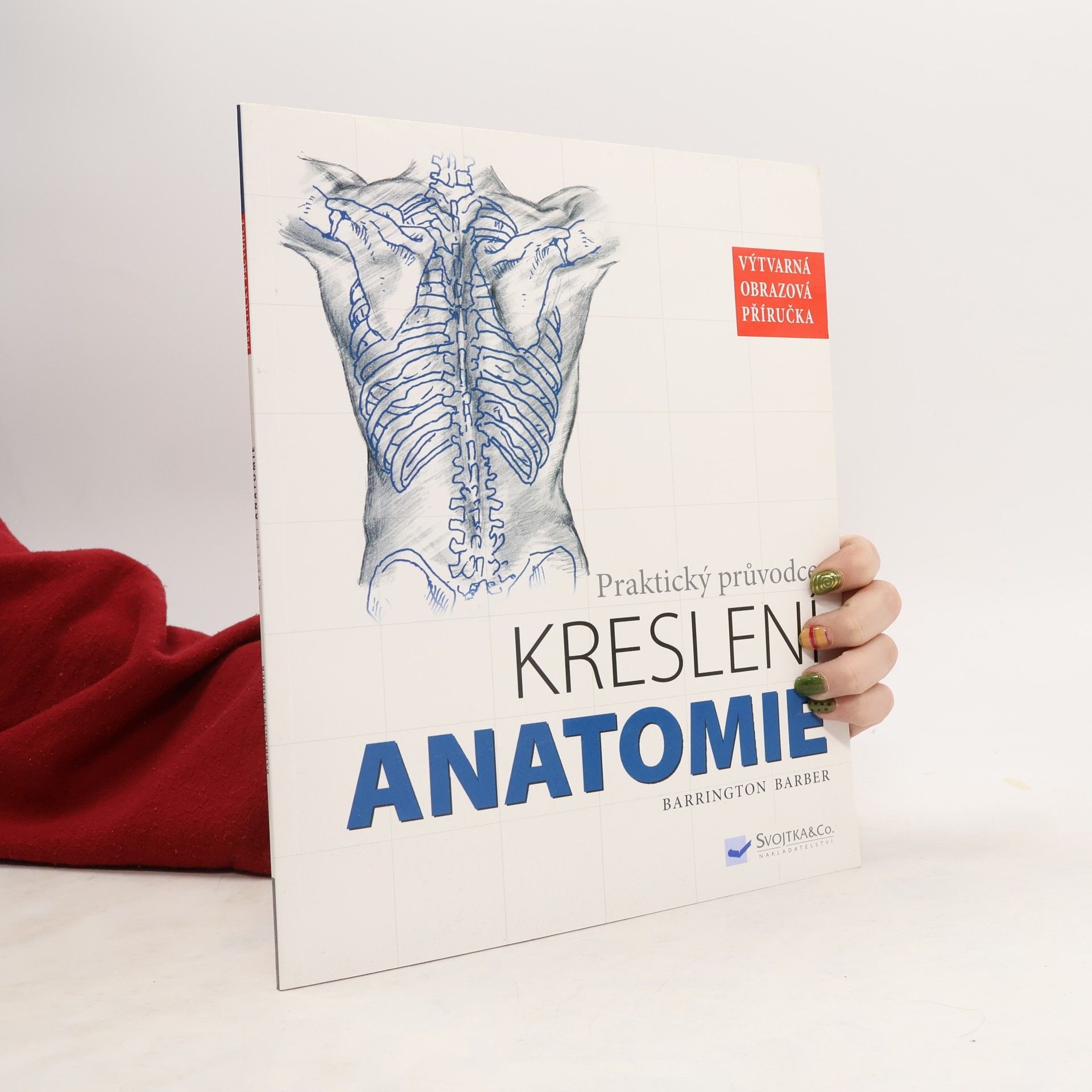 Anatomie: kreslení