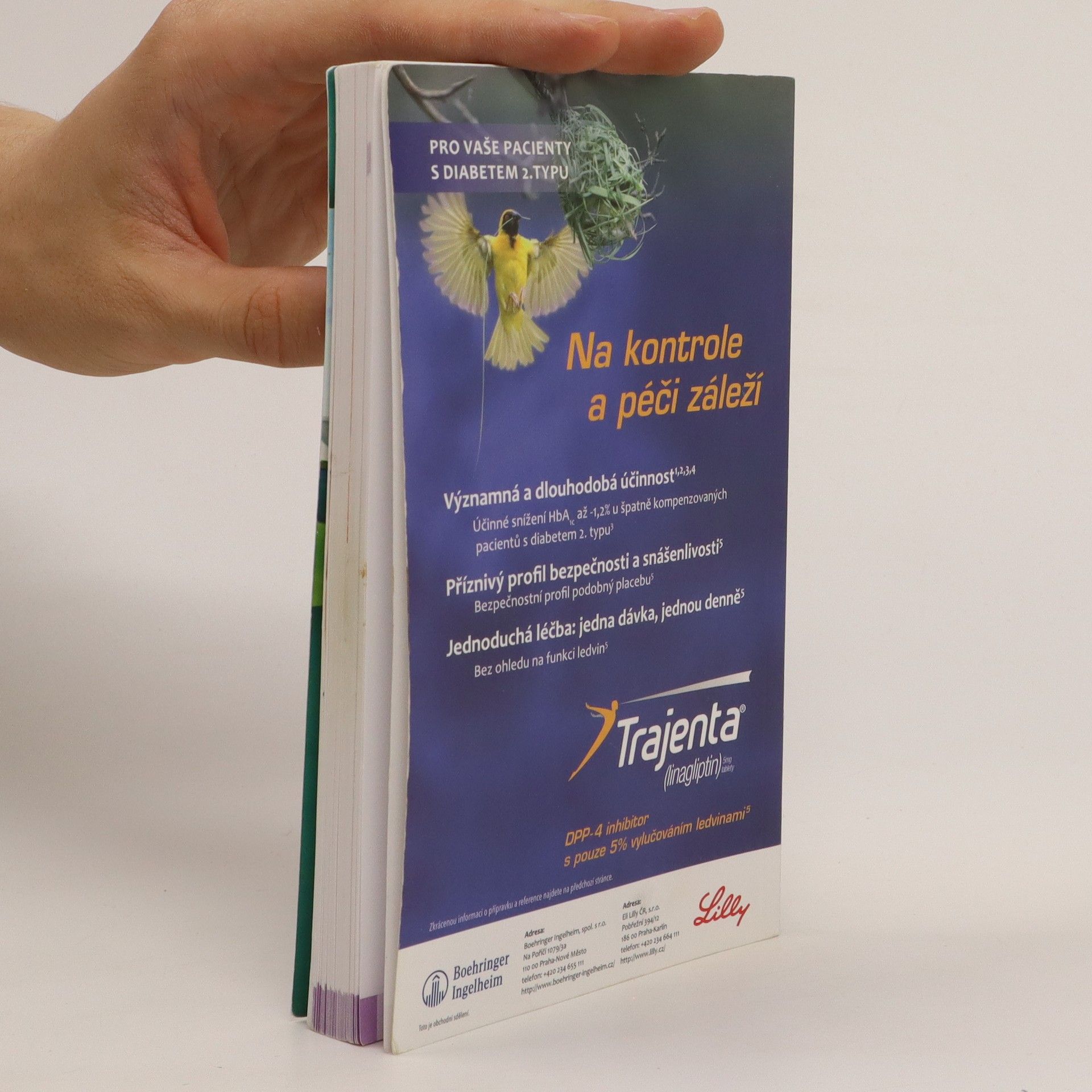 Jindřiška Perušičová Diabetes mellitus v kostce