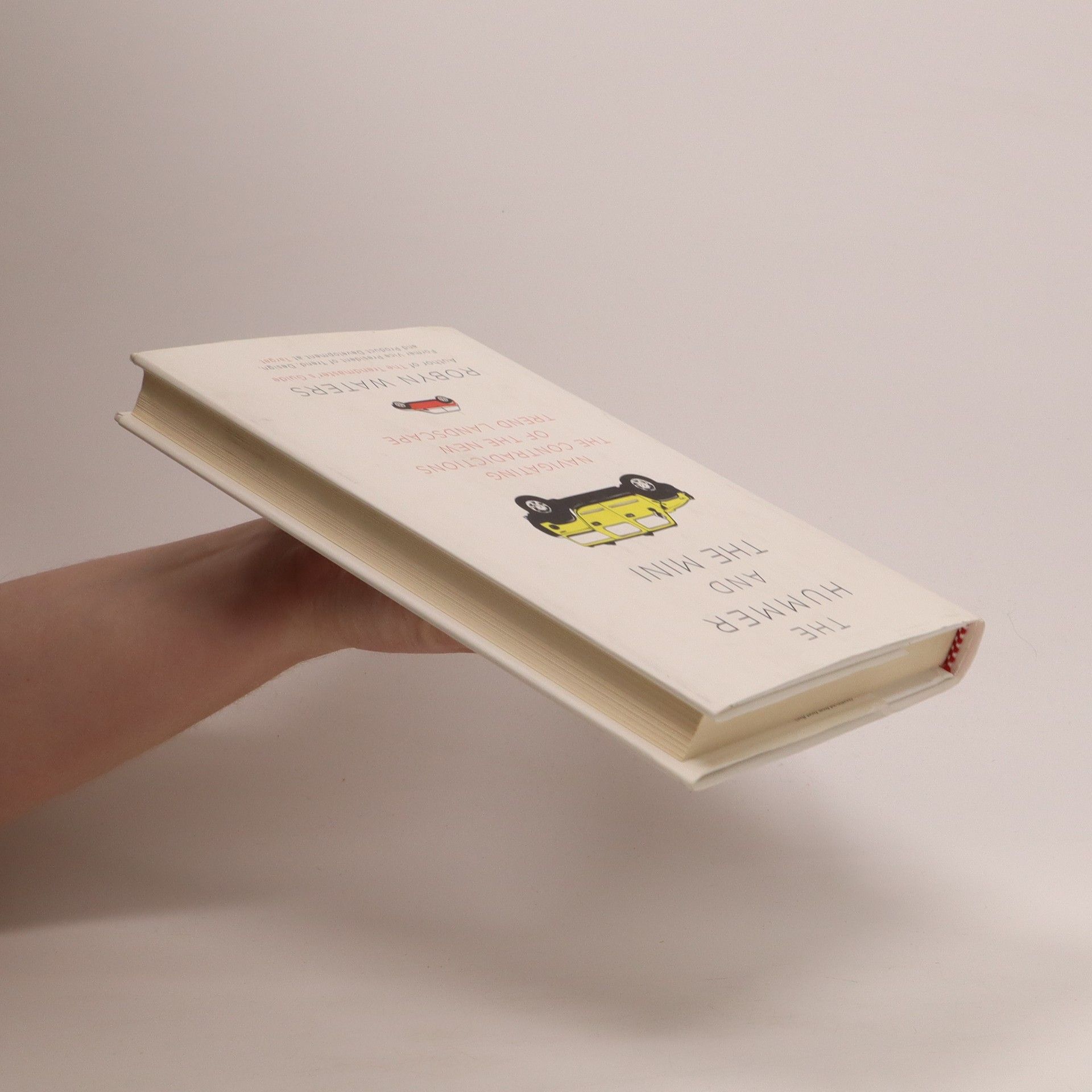 Robyn Waters The Hummer and the Mini : navigating the contradictions of the new trend landscape