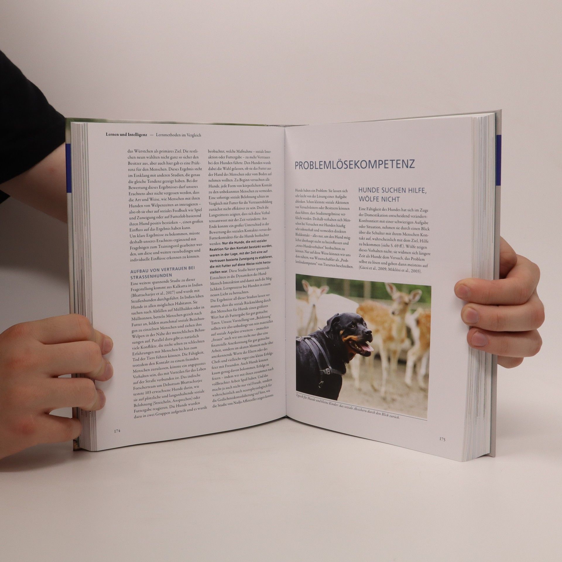 Autorenkollektiv Hunde Forschung aktuell