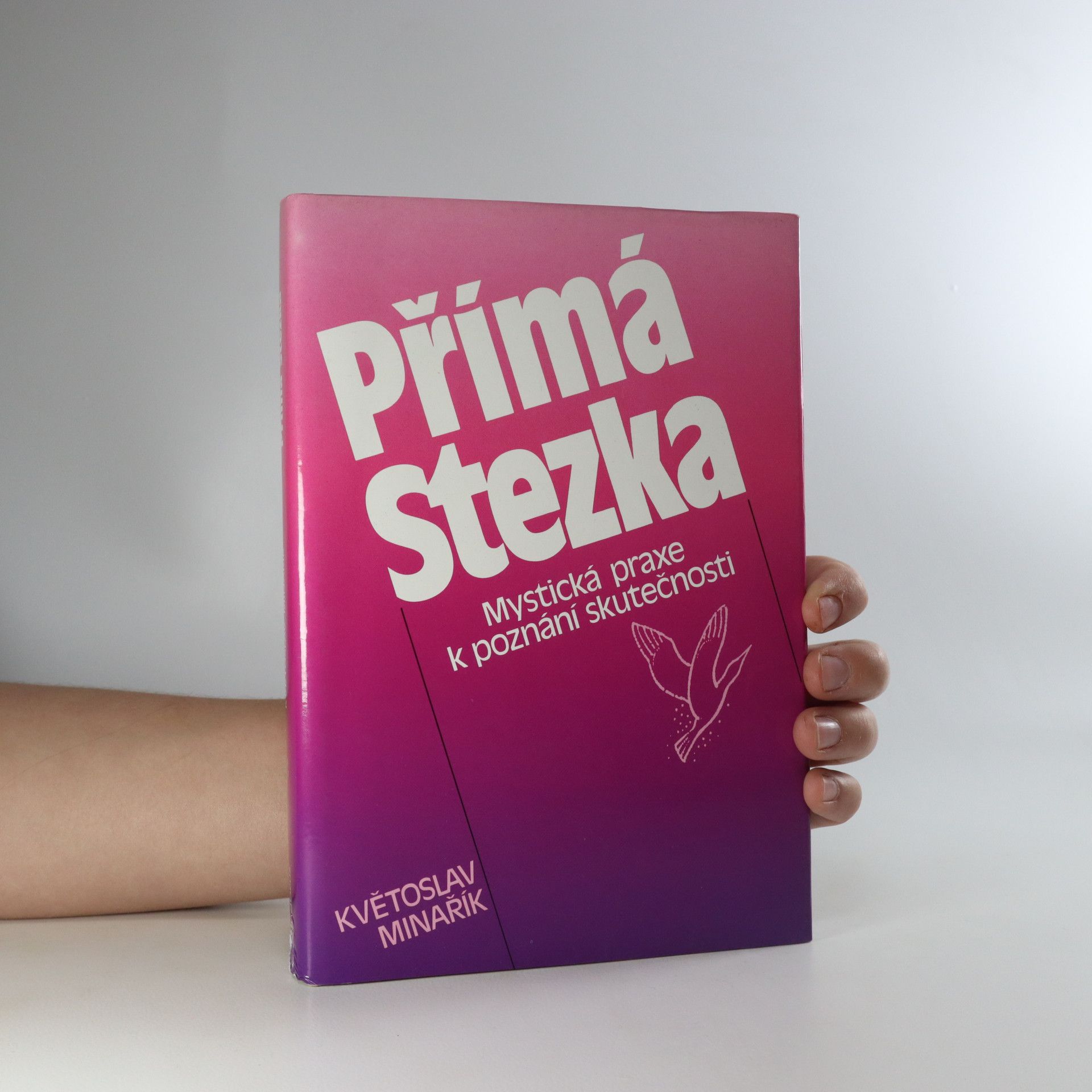 Květoslav Minařík Přímá stezka