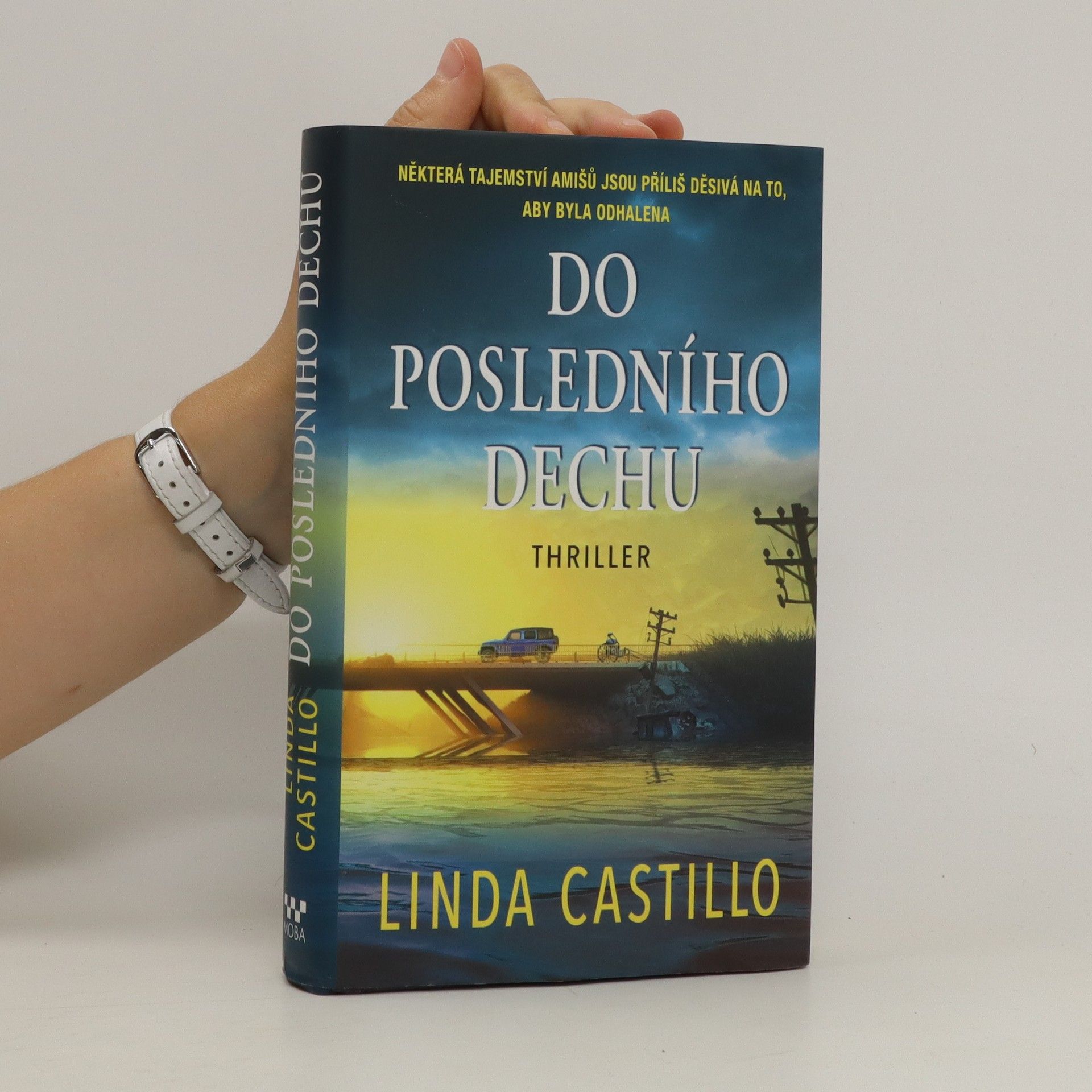 Linda Castillo Do posledního dechu