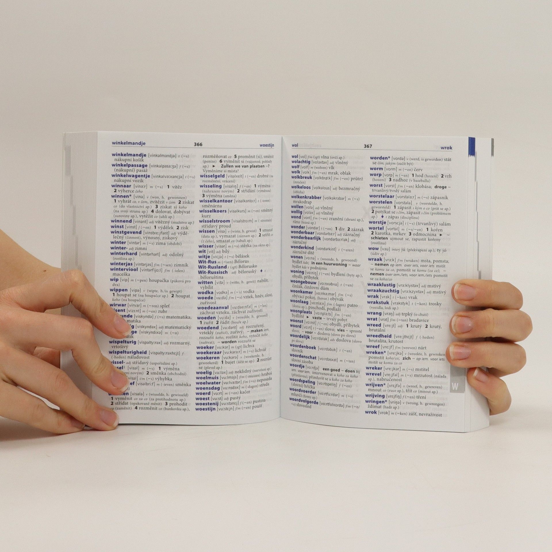 Autorenkollektiv Šikovný slovník nizozemsko-český, česko-nizozemský
