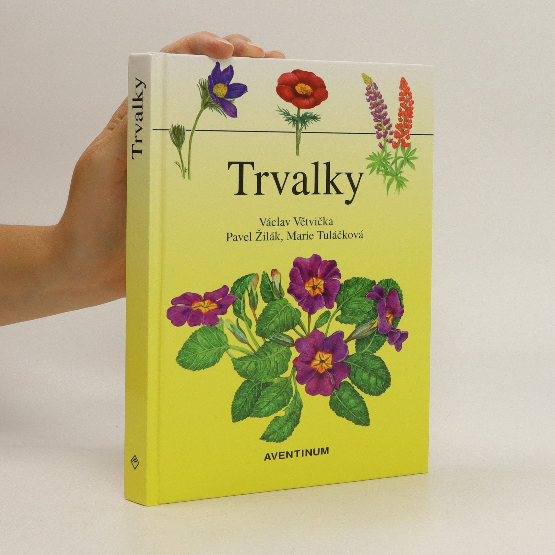 Václav Větvička Trvalky