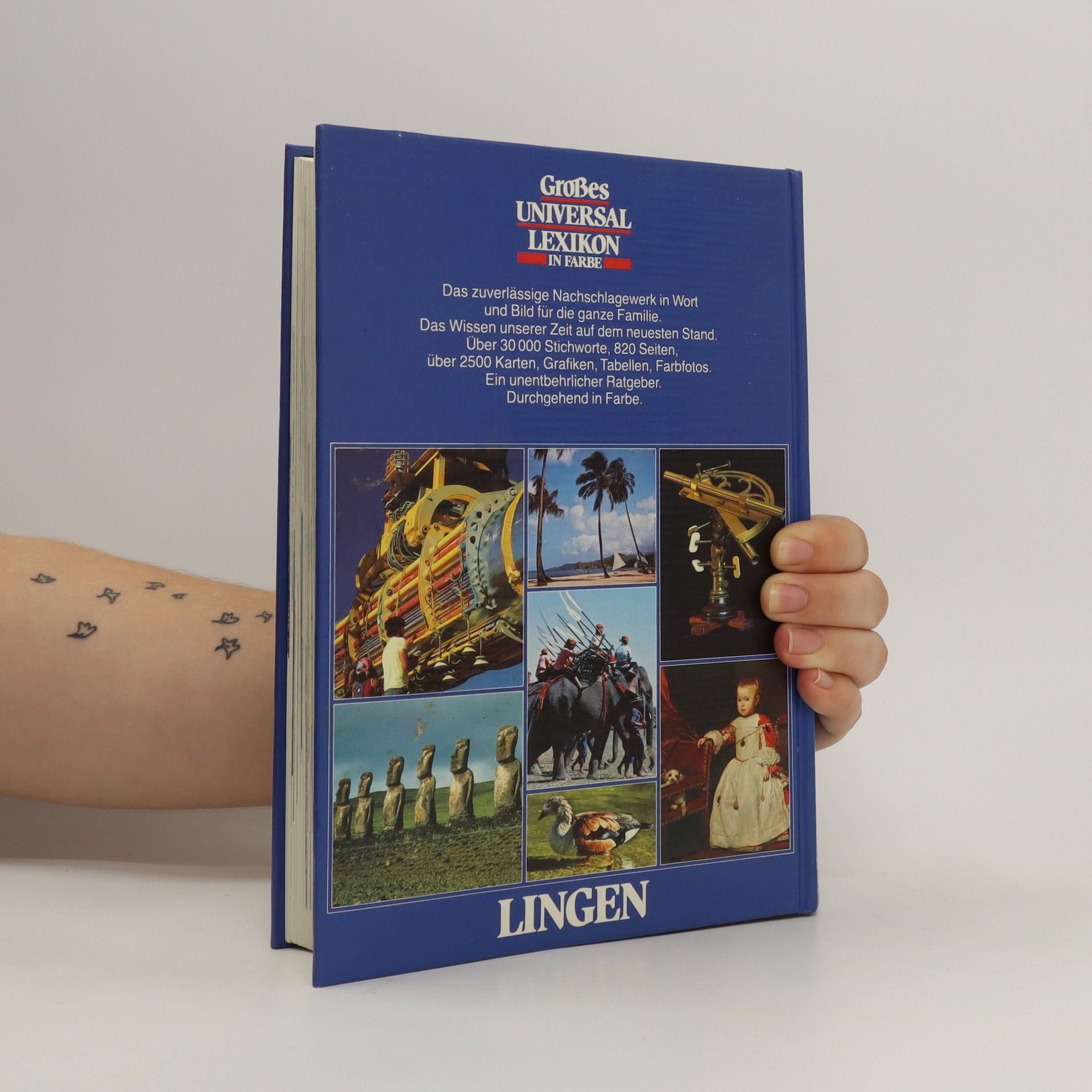 AA.VV. Großes Universal Lexikon in Farbe