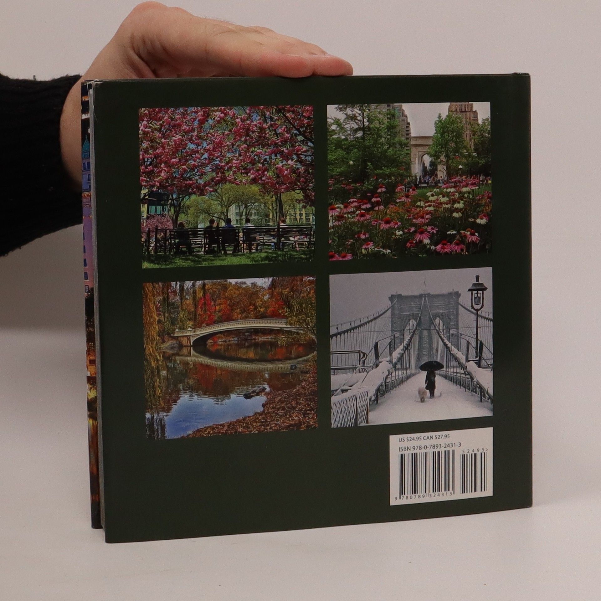 Charles J. Ziga The seasons of New York