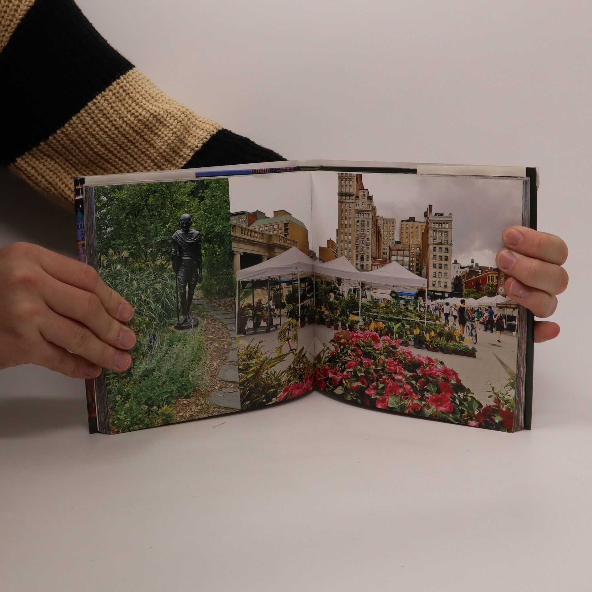 Charles J. Ziga The seasons of New York