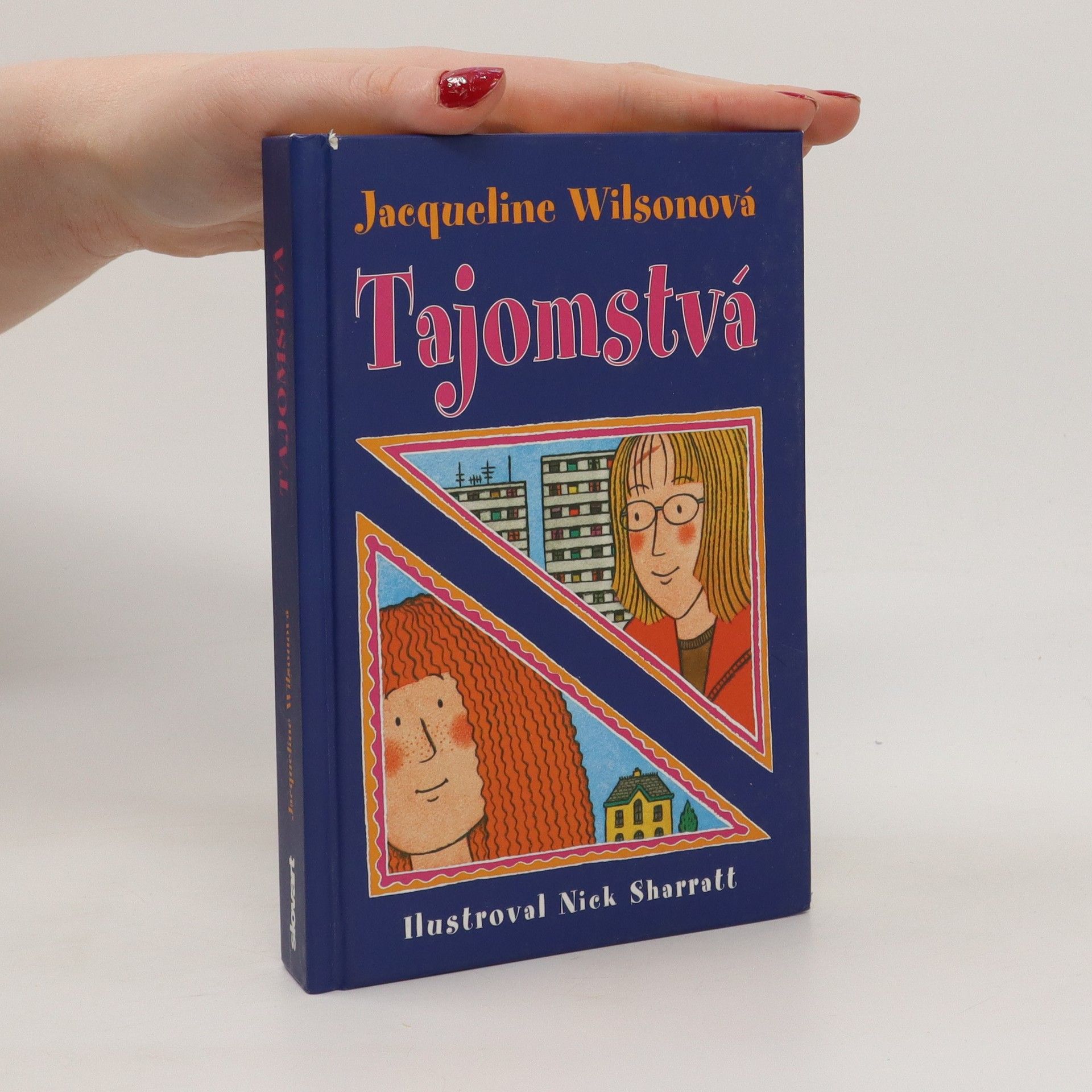 Jacqueline Wilson Tajomstvá