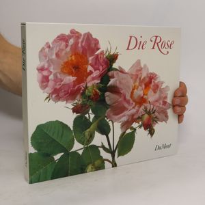Die Rose