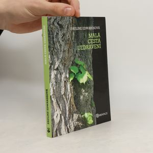 Malá cesta uzdravení