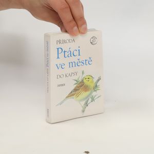 Ptáci ve městě