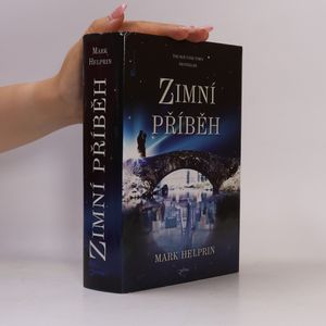 Zimní příběh
