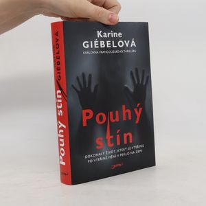 Pouhý stín