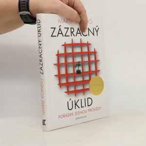 Zázračný úklid