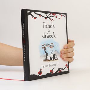 Panda a dráček