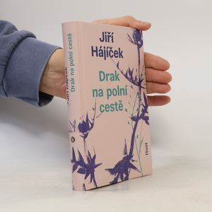Drak na polní cestě