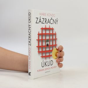 Zázračný úklid