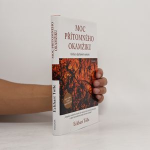 Moc přítomného okamžiku