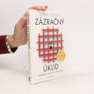 Zázračný úklid