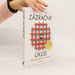 Zázračný úklid