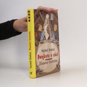 Dvojčata v akci. Sluneční bratrstvo
