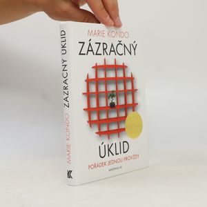 Zázračný úklid