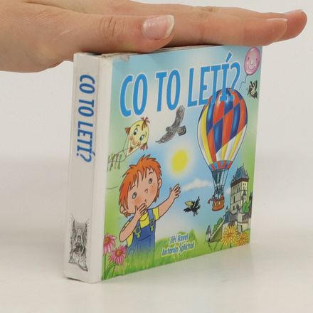 Co to letí?