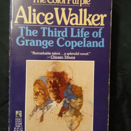 The Third Life of Grange Copeland (Obr, 346 s.)