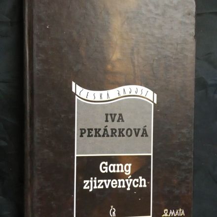 Gang zjizvených (pv, 249 s.)