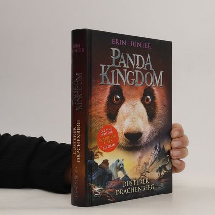 Panda Kingdom - düsterer Drachenberg
