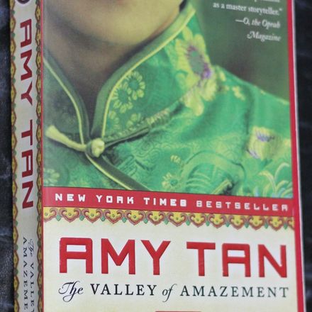 The valley of amazement
