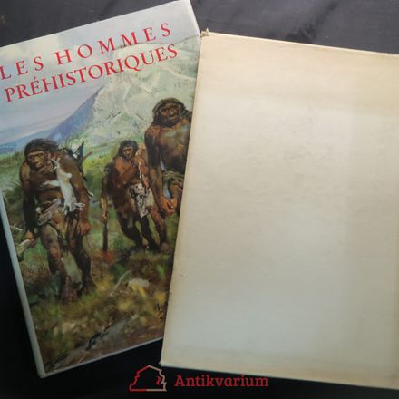 Les hommes préhistoriques